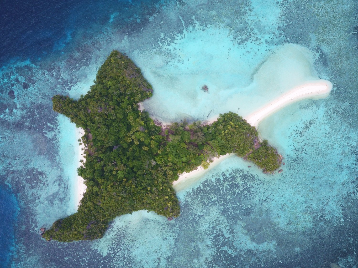 Surrounding areas of Misool Eco Resort