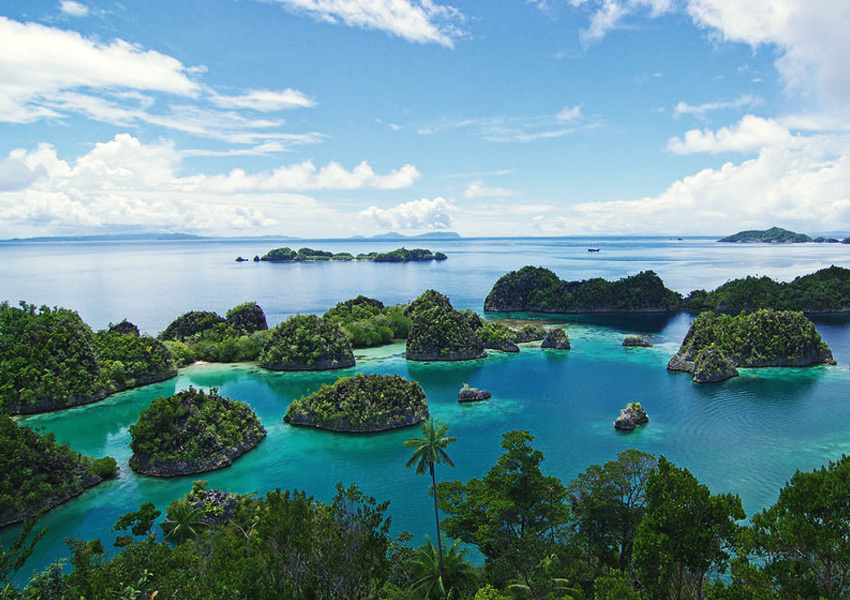 Charter in Raja Ampat with Nataraja yacht