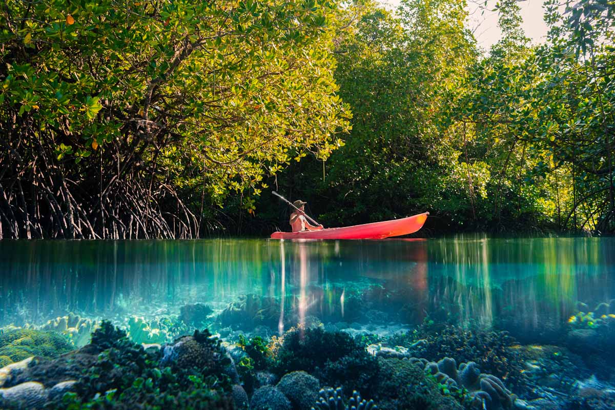 Charter in Raja Ampat with Nataraja yacht