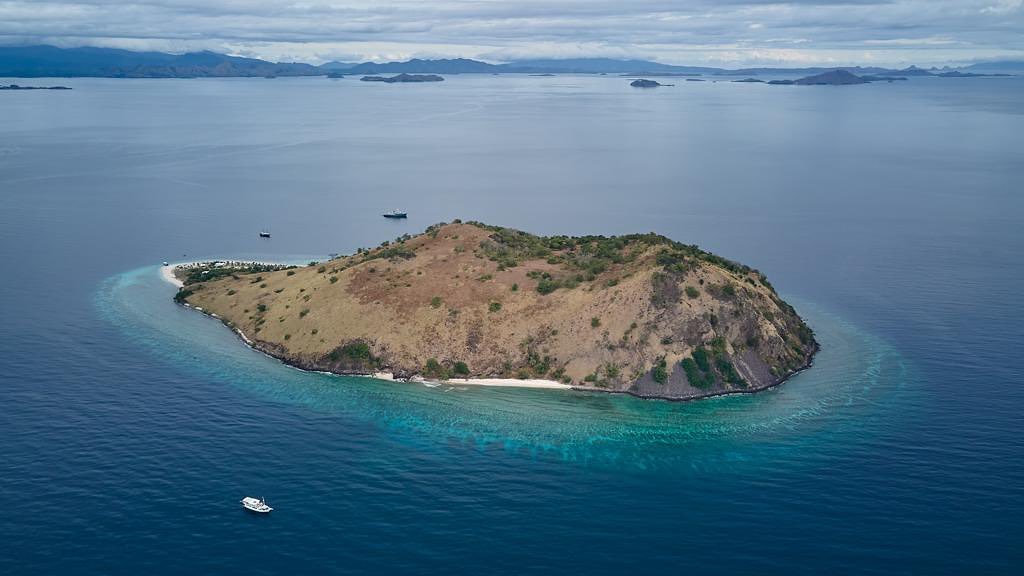 Oceanic charters in Komodo