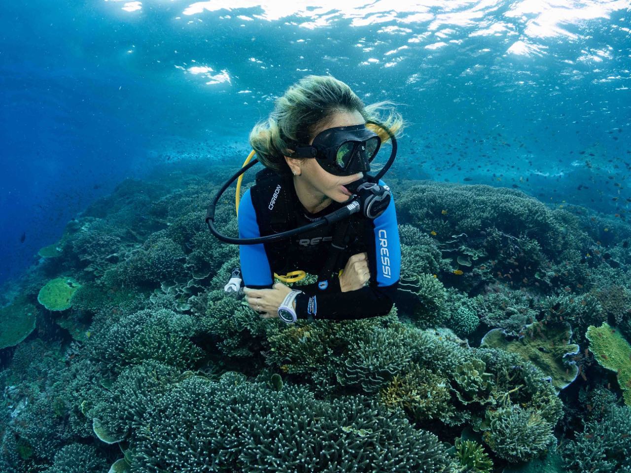 Oceanic charters in Komodo