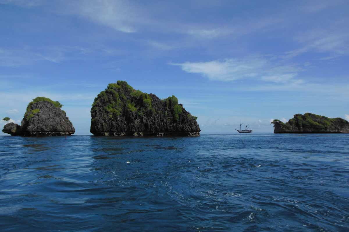 Ondina since 2001 liveaboard diving in Indonesia 