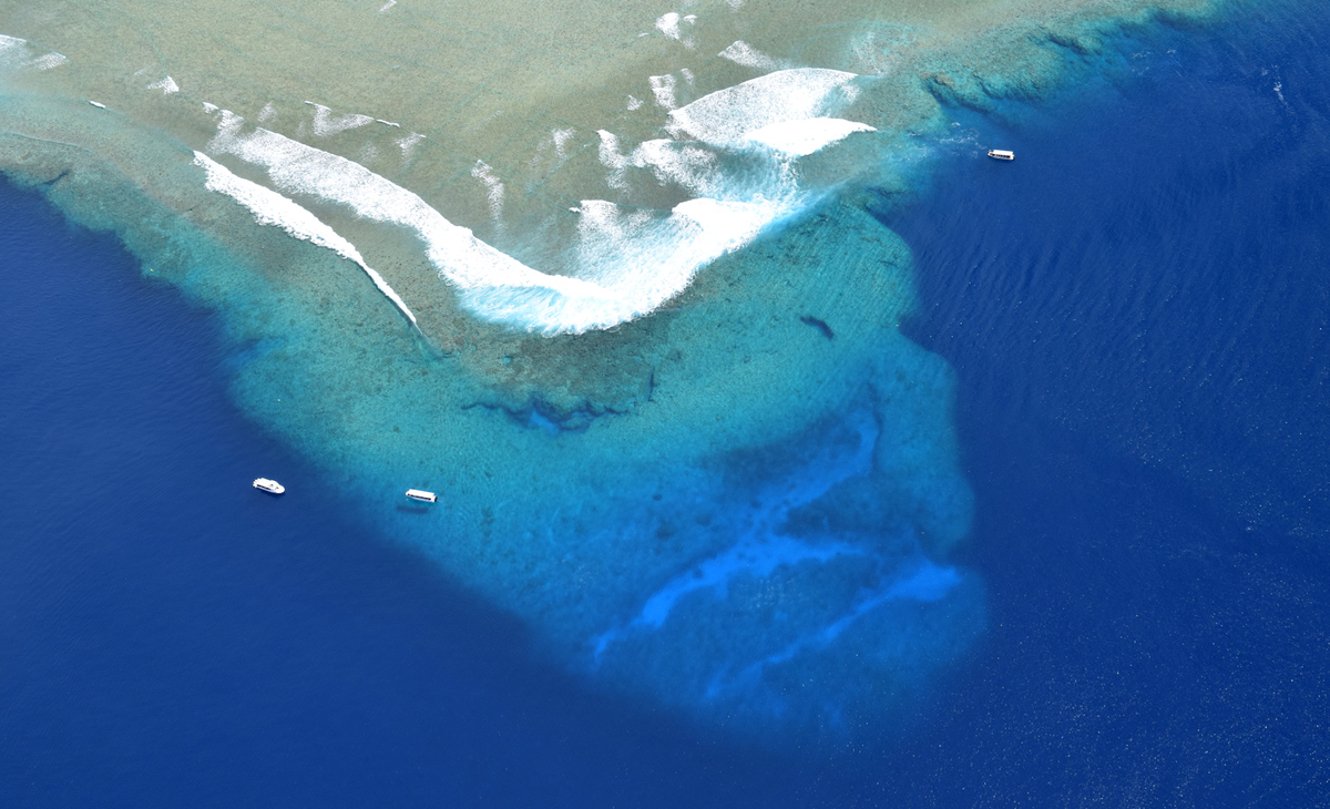 Palau’s Blue Corner