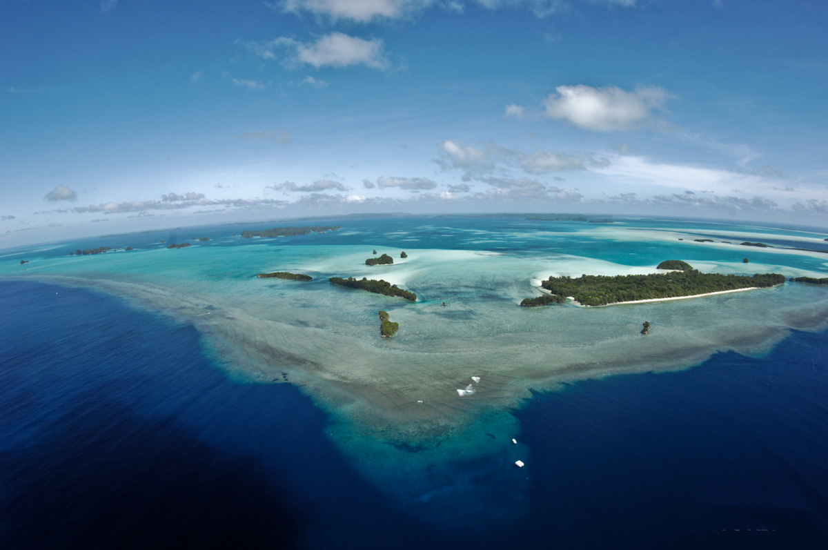 Palau’s Ngemelis Wall
