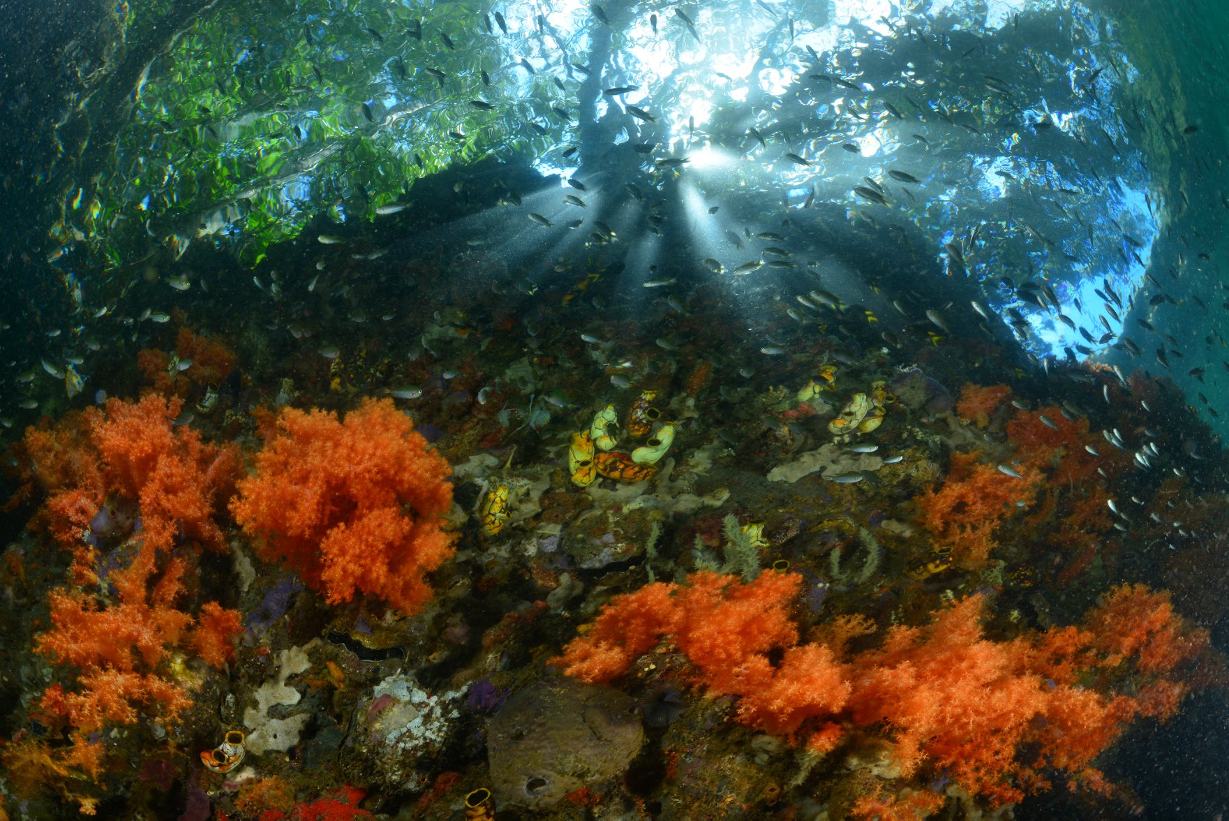Papua Explorers Resort in Raja Ampat