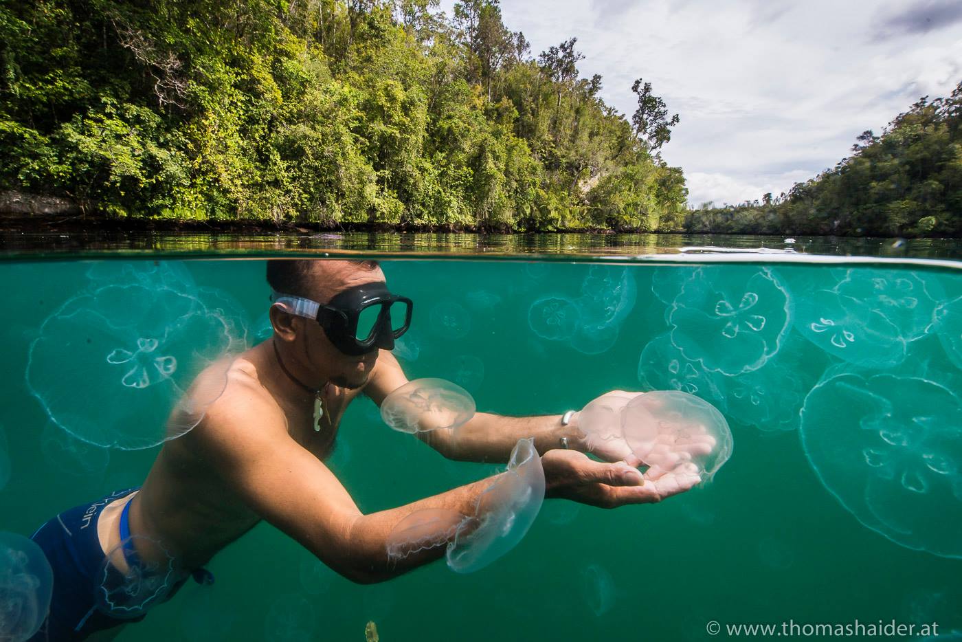 Snorkeling in Jellyfish lake with Papua Explorers Resort