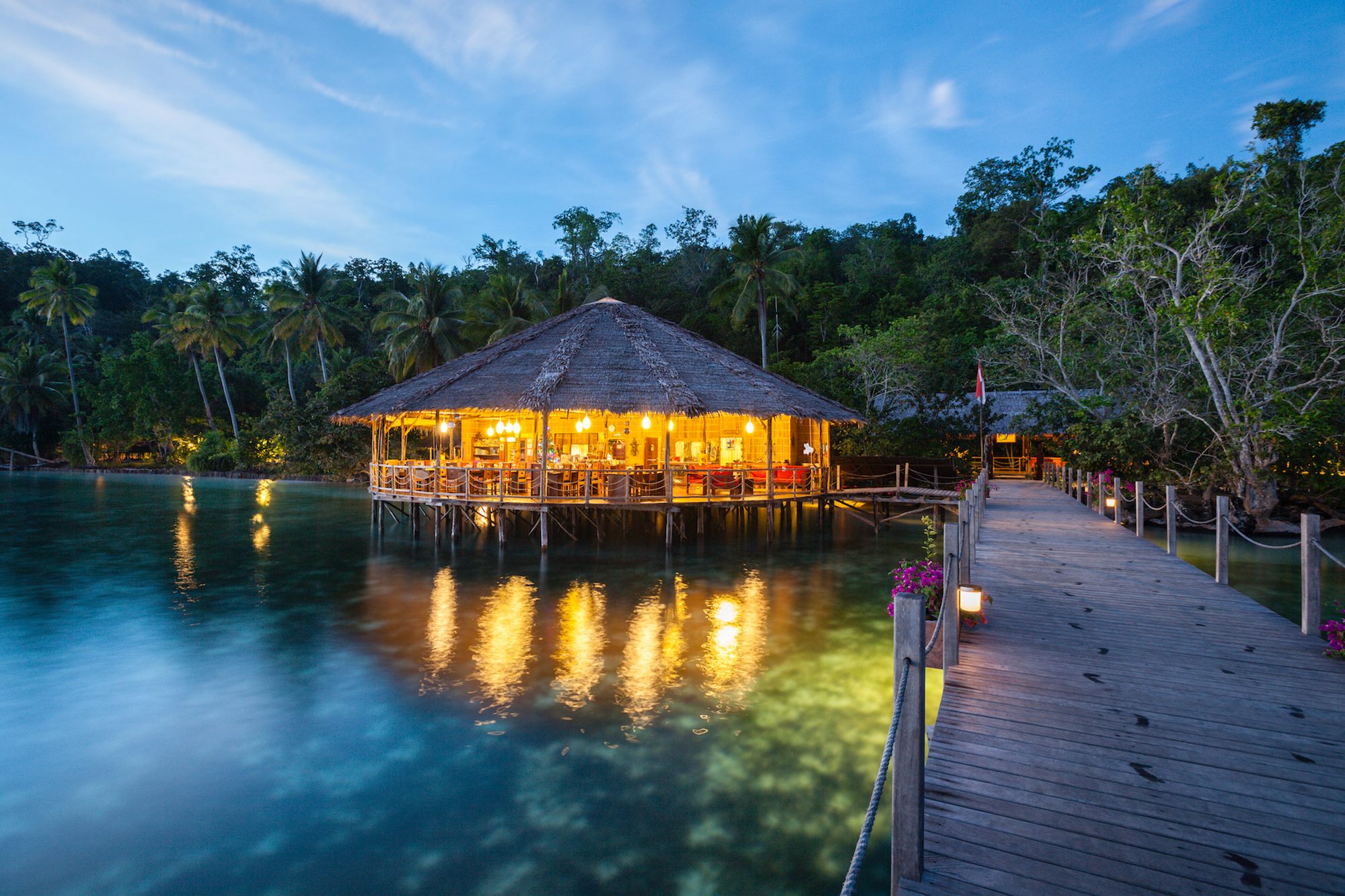 Papua Explorers: bird of paradise excursions