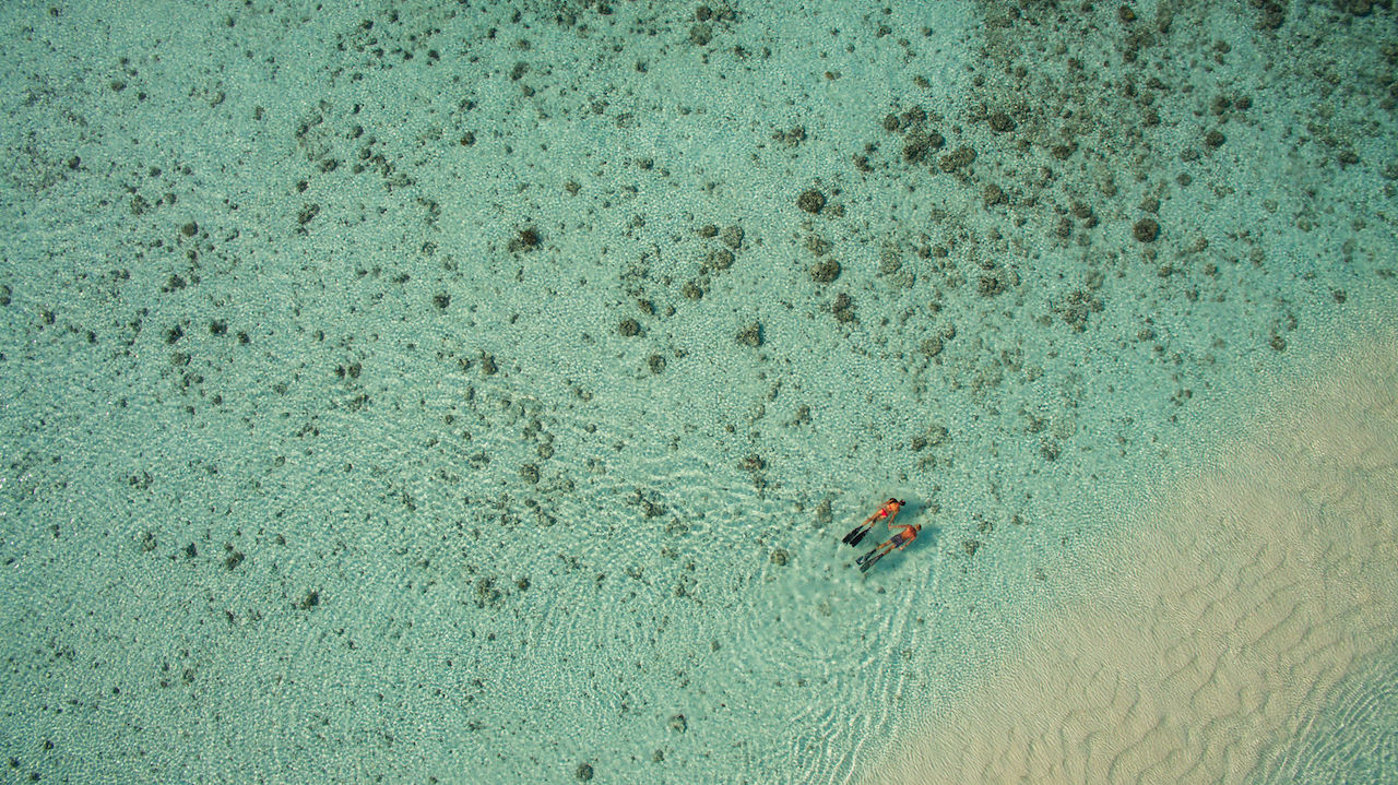 Snorkeling in Raja Ampat with Papua Explorers Resort