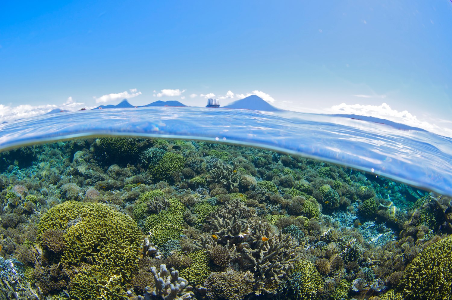 Walindi Plantation Resort diving in Papua New Guinea 
