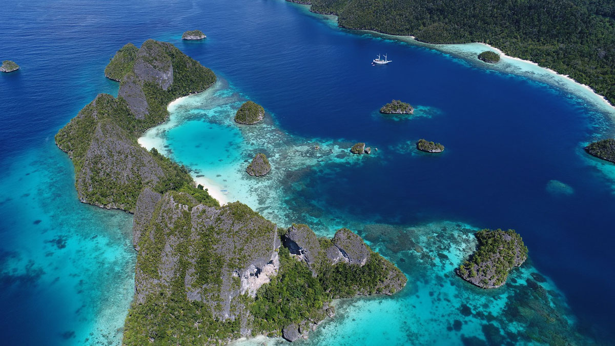 Dive cruises in Raja Ampat with Pindito