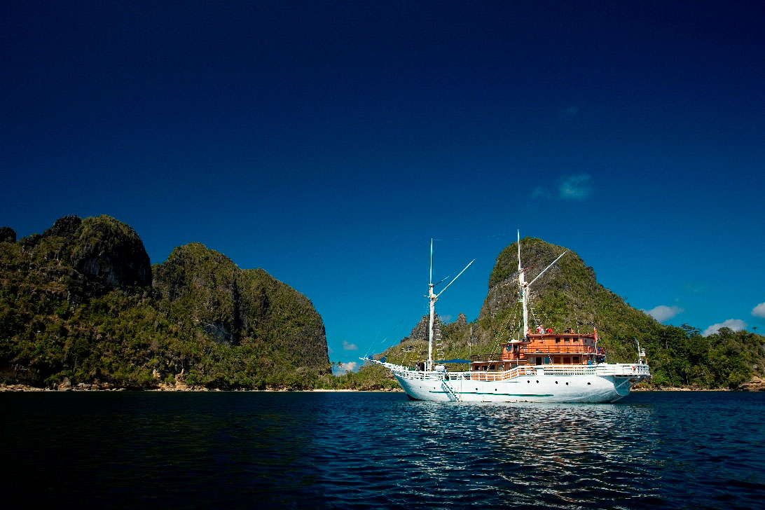 Family dive cruises in Raja Ampat with Pindito