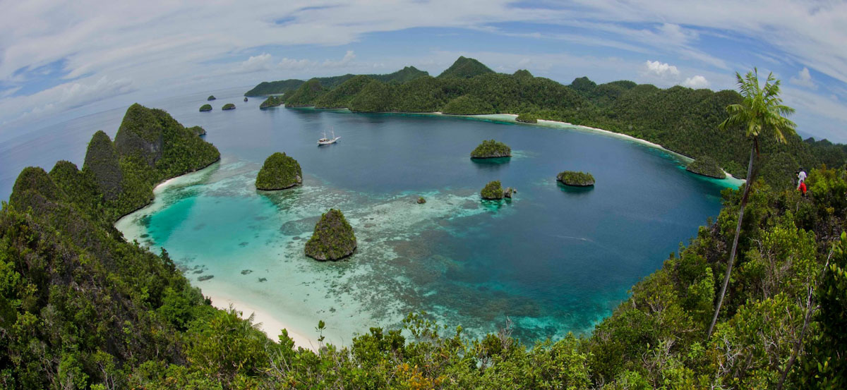 Dive cruises in Raja Ampat with Pindito