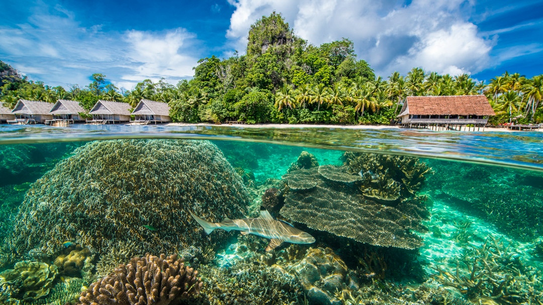 Raja 4 Divers Resort, Raja Ampat, West Papua, Indonesia