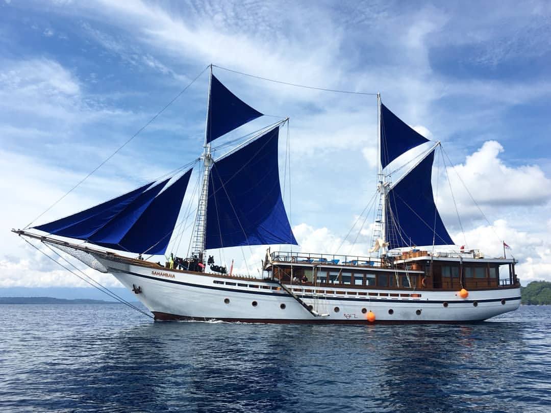 Samambaia charters