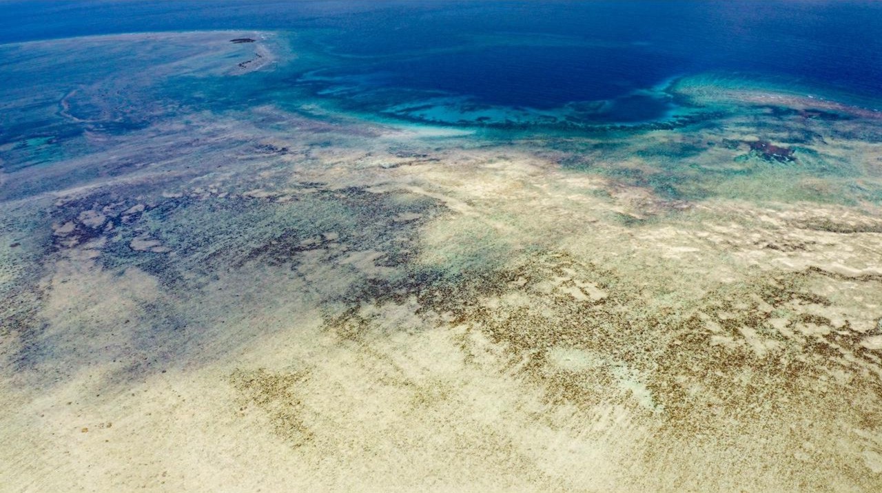Dive cruises in Indonesia with Seven Seas 