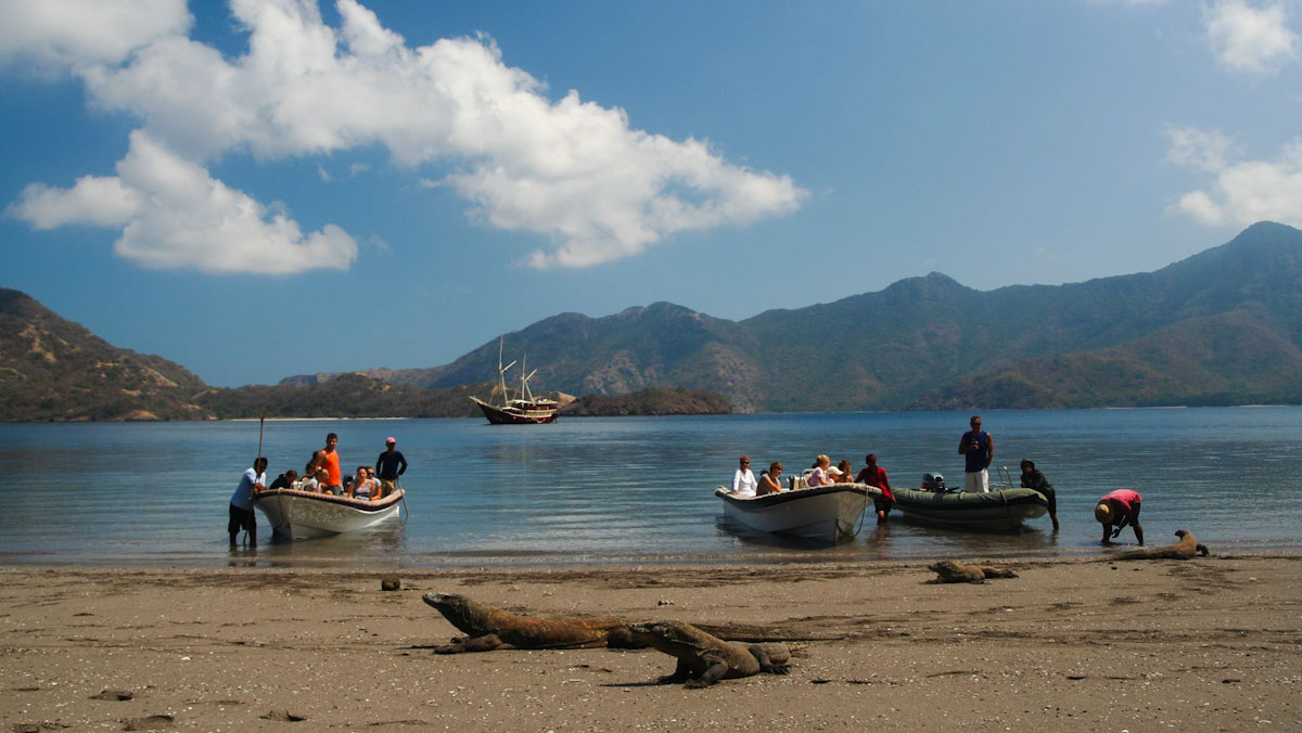 Dive cruises in Indonesia with Seven Seas 