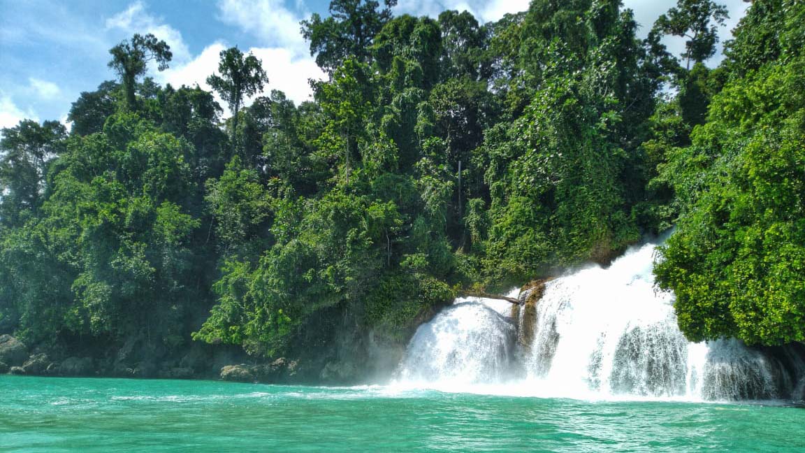 Dive cruises in Indonesia with Seven Seas 