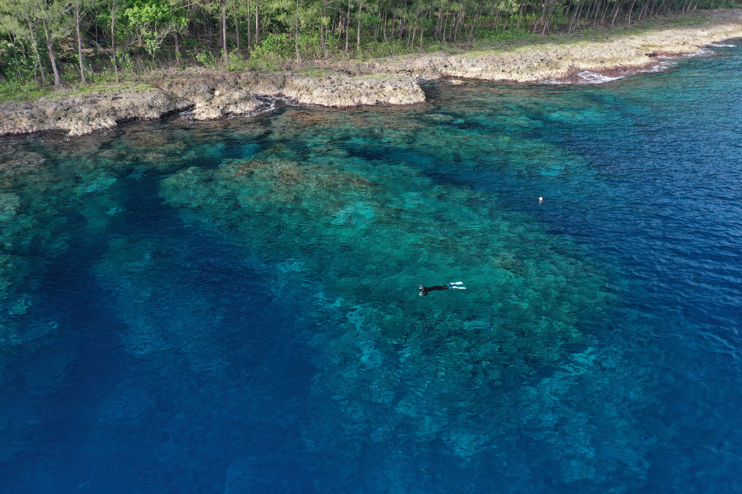 Snorkeling in Solomon Islands 