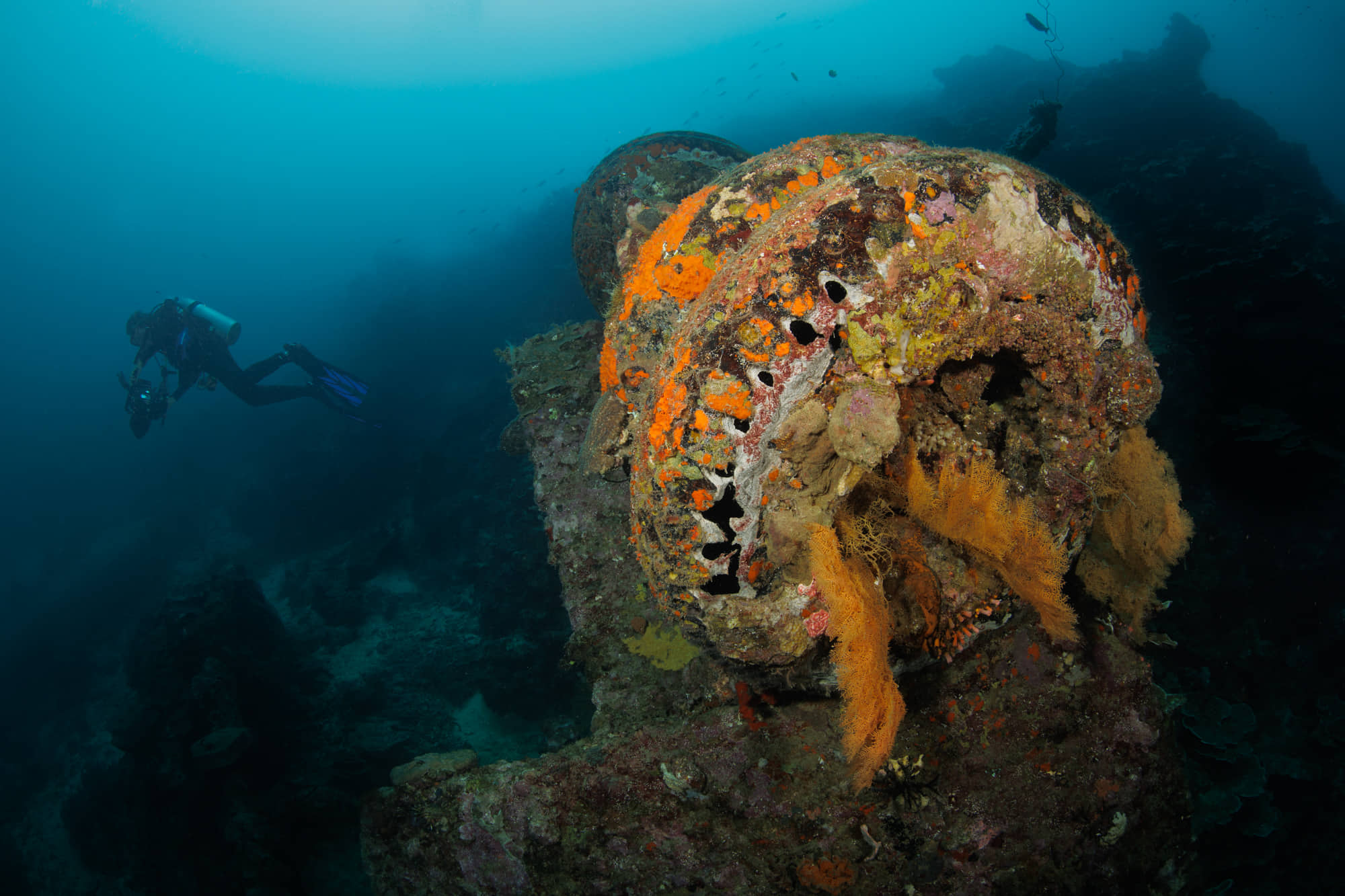 Diving White Beach in Solomon Islands 