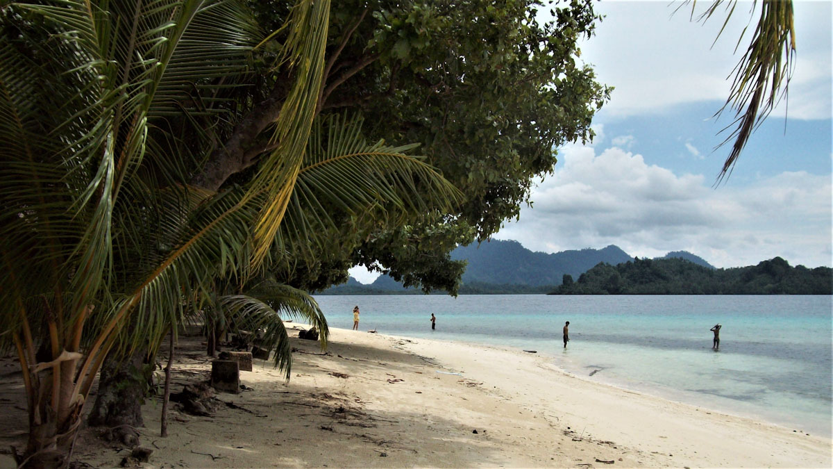 Togeans sandy beaches shaded by palm trees