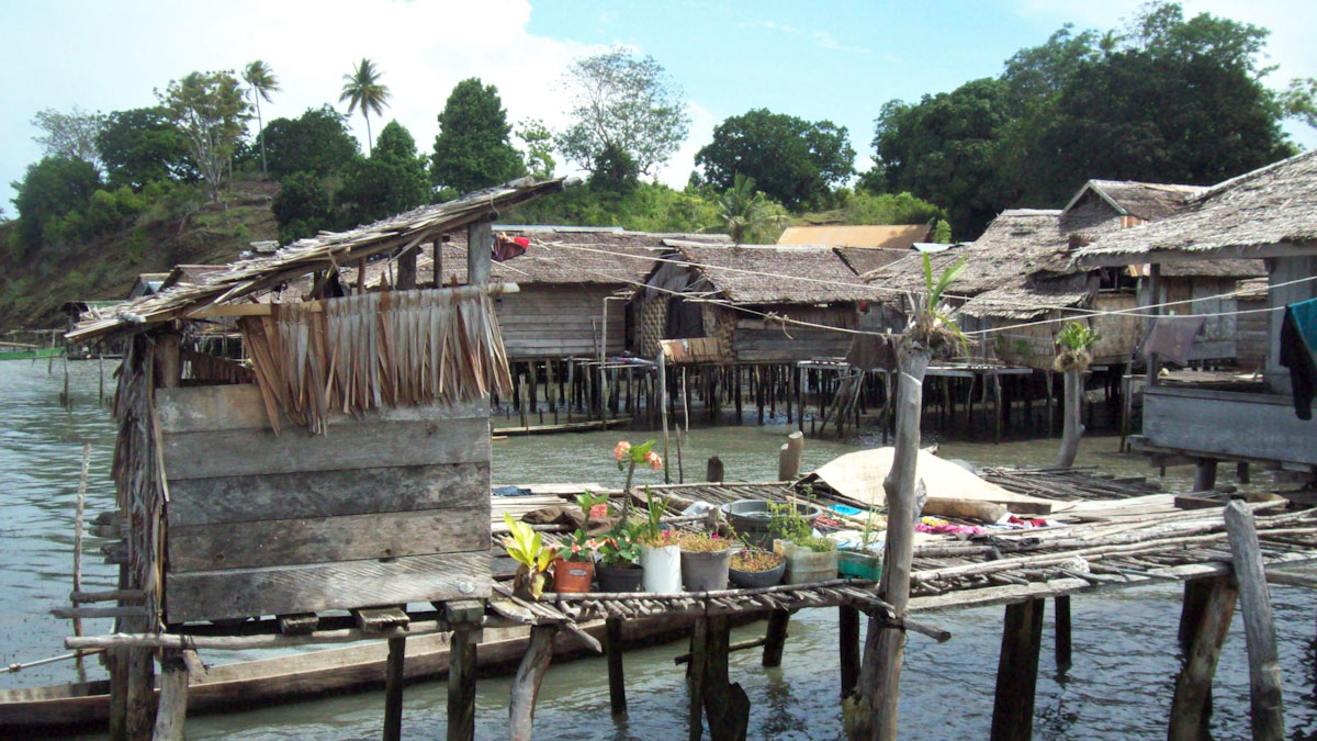 Bajau village gardens