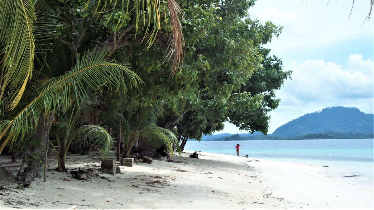Tropical forest and beaches of the Togeans