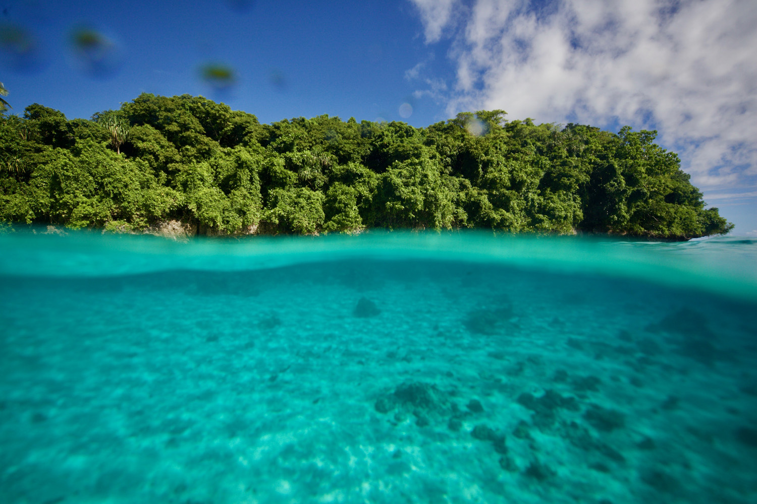 Island of Vava’u archipelago in Tonga 