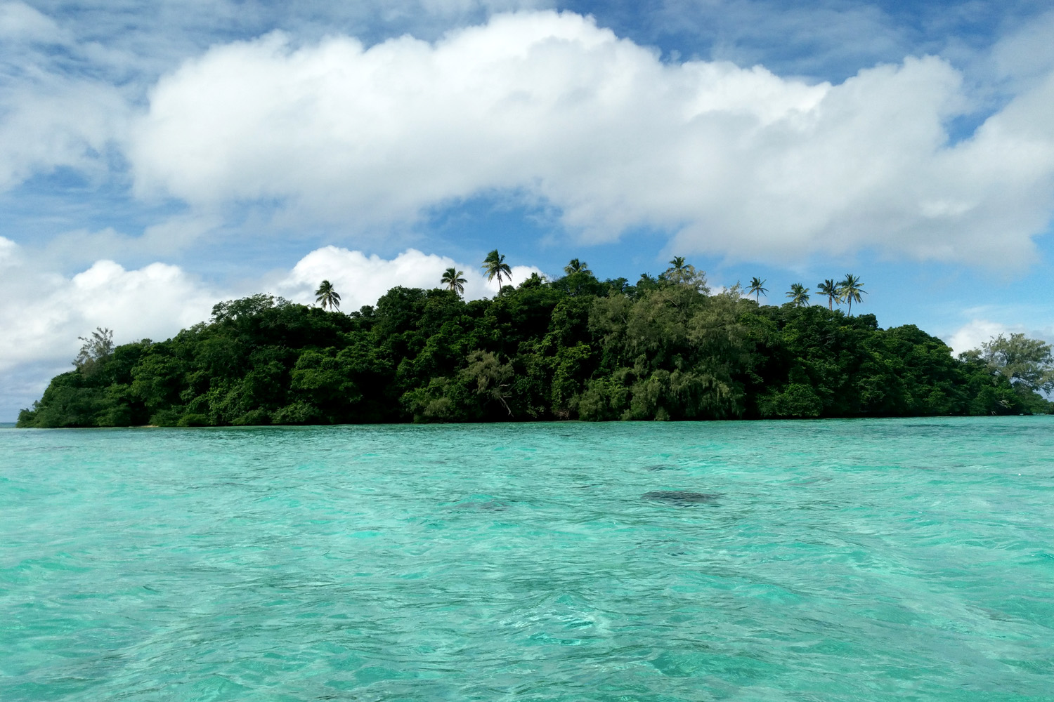 Island of Vava’u archipelago in Tonga 