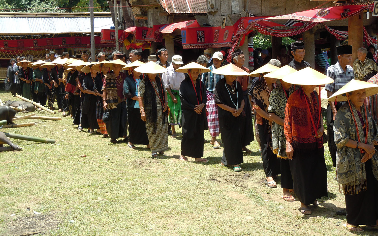Group of Torajan women and men