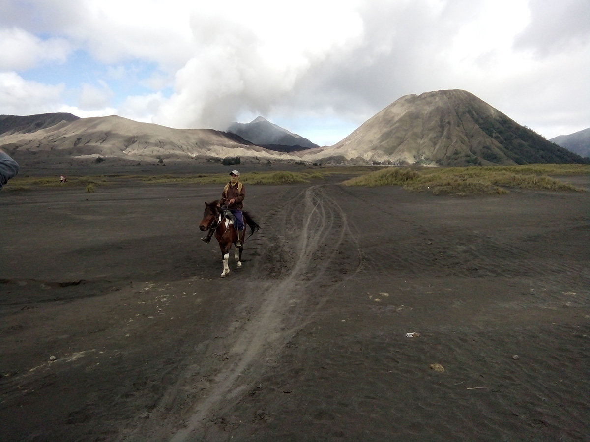 Bromo jockey rides on "The Sea of Sand"
