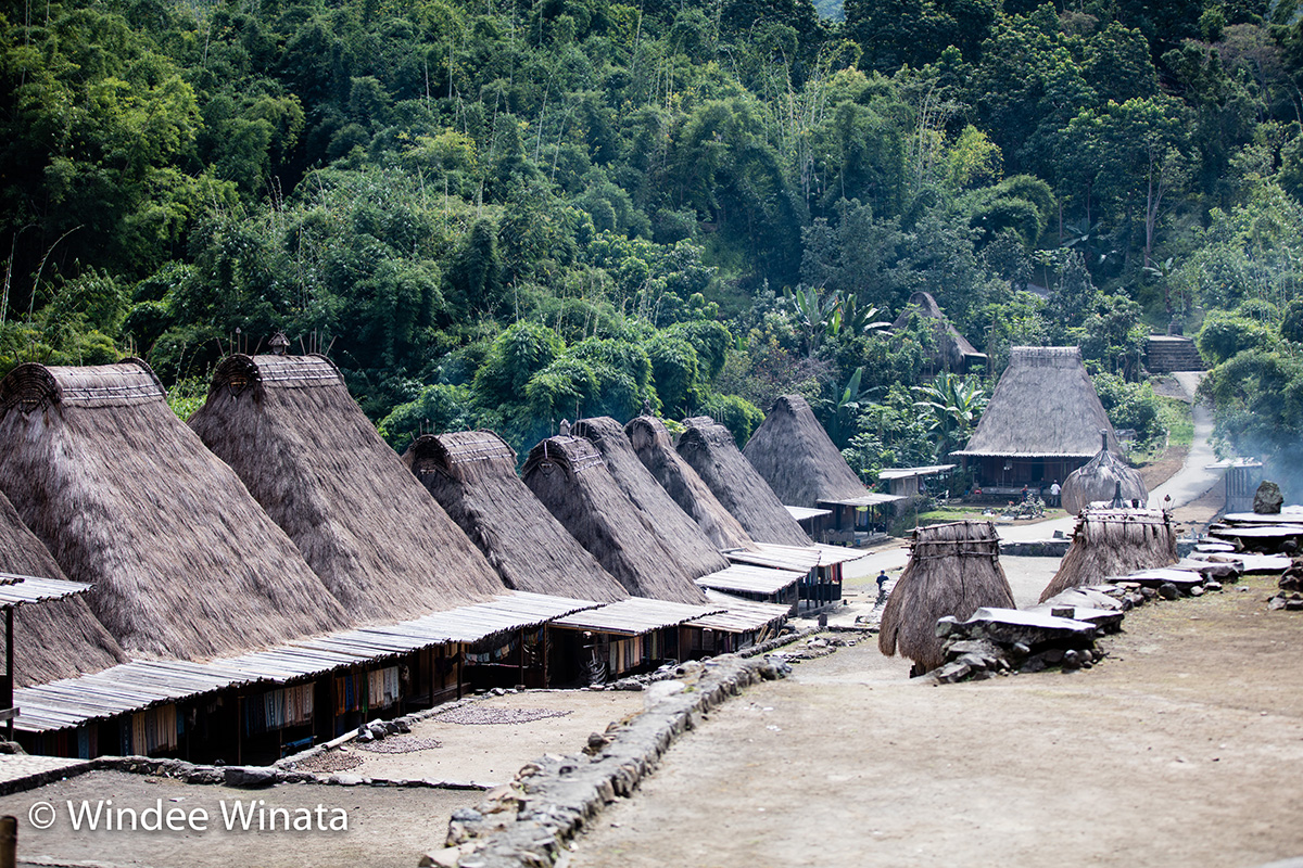 Ngada village in the forest of Flores Island