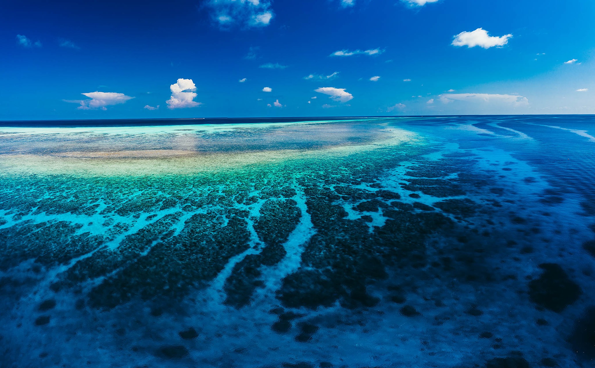 Tubbataha Reef in Zulu Sea