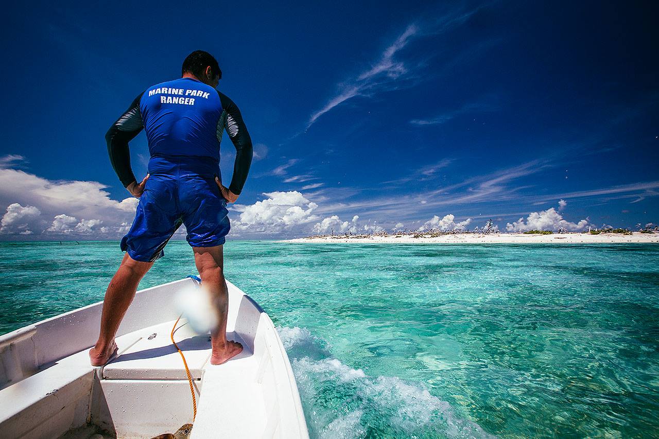 Diving ranger in Tubbataha Reef